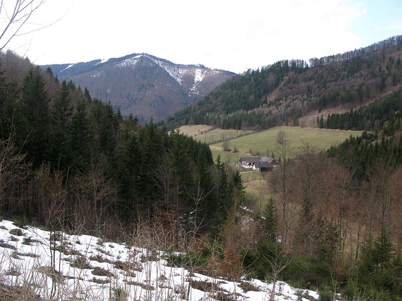 Zürnerberg